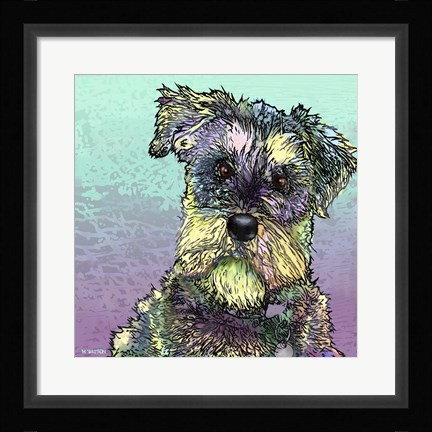 Framed Schnauzer 1 Print