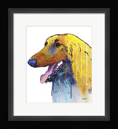 Framed Afghan Hound 2 Print