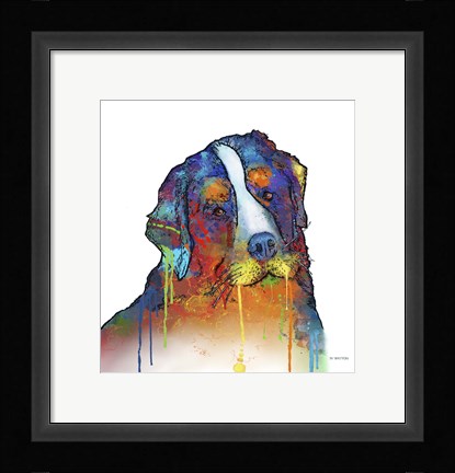 Framed Bernese Mountain Dog Print