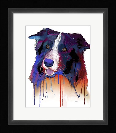 Framed Border Collie 1 Print