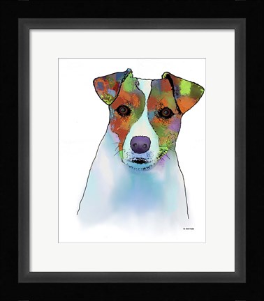 Framed Jack Russell Terrier 1 Print