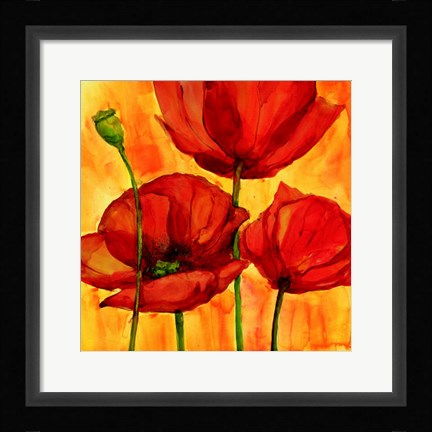 Framed Coquelicots III Print