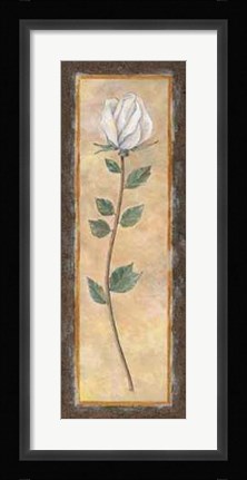 Framed Rose Print