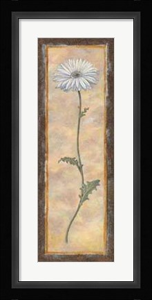 Framed Gerbera Print