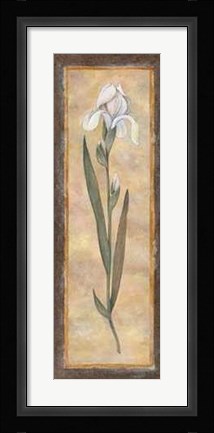 Framed Iris Print