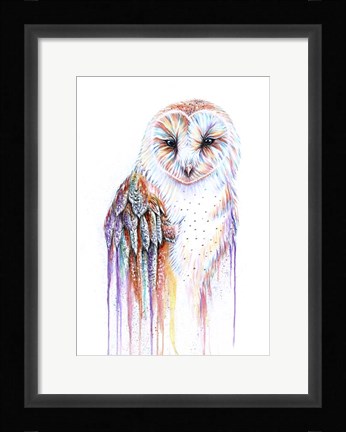 Framed Barred Rainbow Owl Print