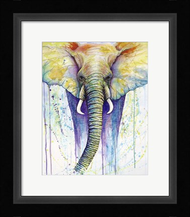 Framed Elephant Colors Print