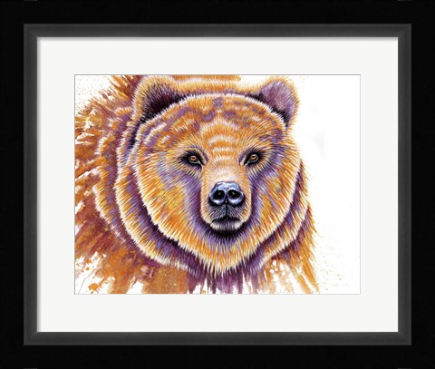 Framed Grizzly Bear Print