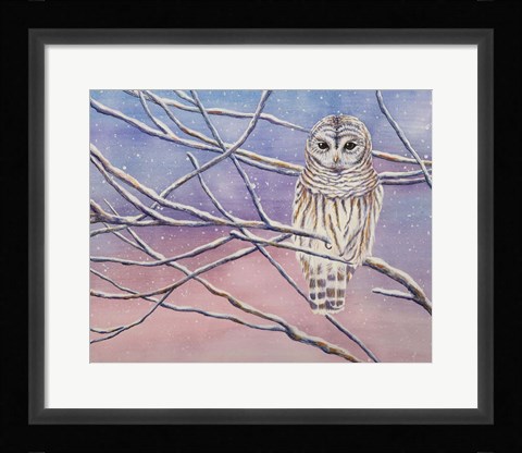 Framed Snowy Barred Owl Print