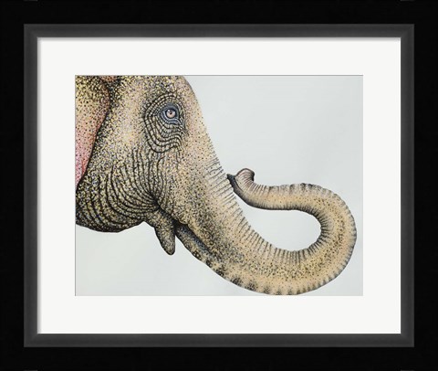 Framed Spotted Asian Elephant 2 Print