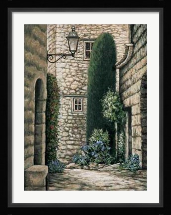 Framed Coin Pictoresque I Print