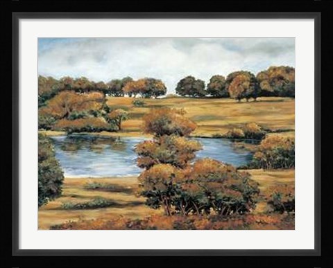 Framed At the Pond II Print