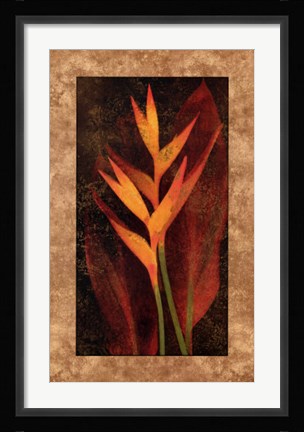 Framed Heliconia Print