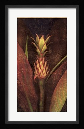 Framed Pineapple Print
