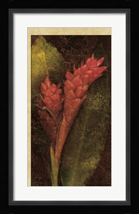 Framed Ginger Print