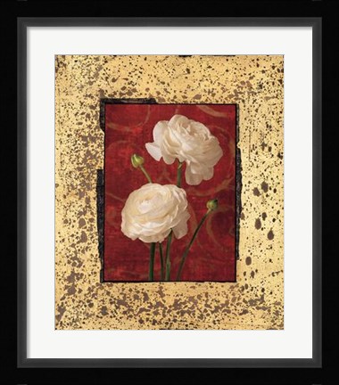 Framed Ranunculus Print