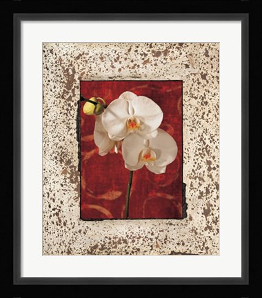 Framed Orchids Print