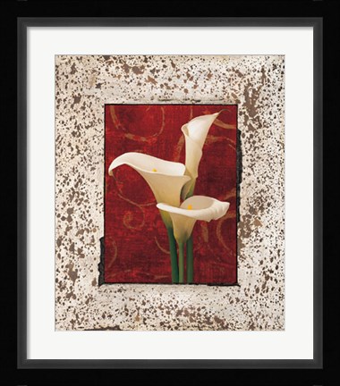 Framed Calla Lilies Print