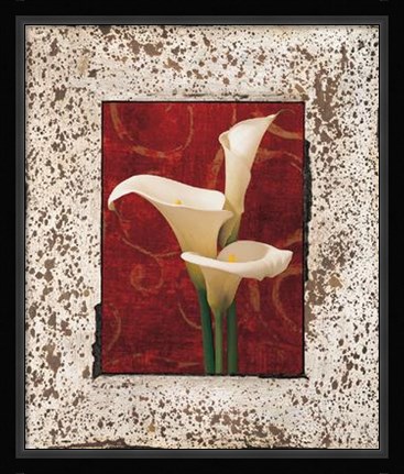 Framed Calla Lilies Print
