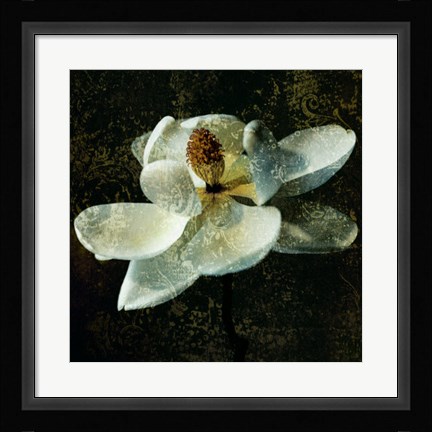 Framed Magnolia II Print