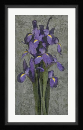 Framed Purple Iris Print