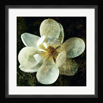 Framed Magnolia I Print