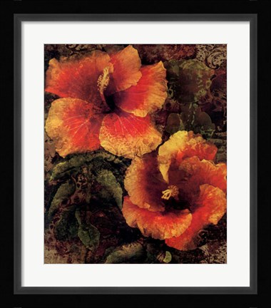 Framed Hibiscus I Print