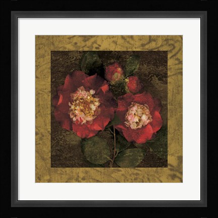 Framed Red Camellias II Print
