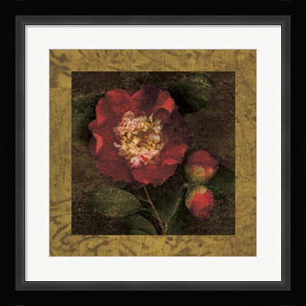 Framed Red Camellias I Print
