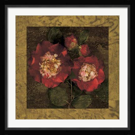Framed Red Camellias II Print