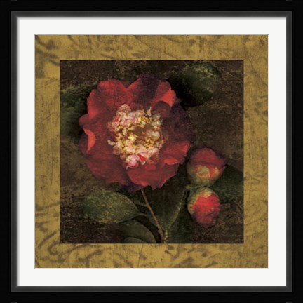 Framed Red Camellias I Print