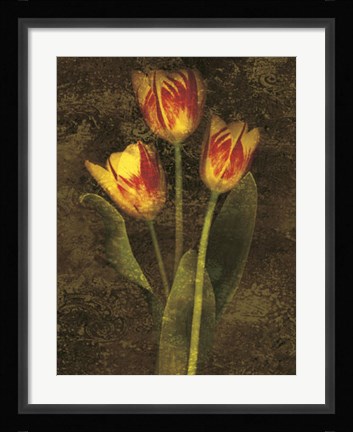 Framed Three Tulips Print