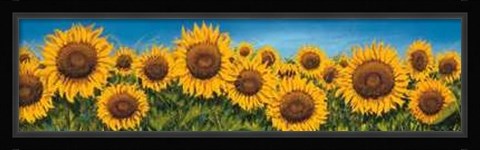 Framed Fila di Girasoli Print