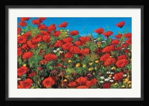 Framed Tebo Marzari - Papaveri Size 31.5x23.75 Print