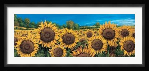 Framed Campo di Girasoli Print