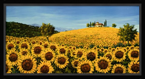 Framed Girasoli Sul Pendio Print