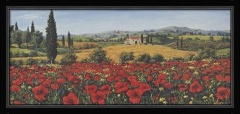 Framed Vallata Dei Papaveri Print