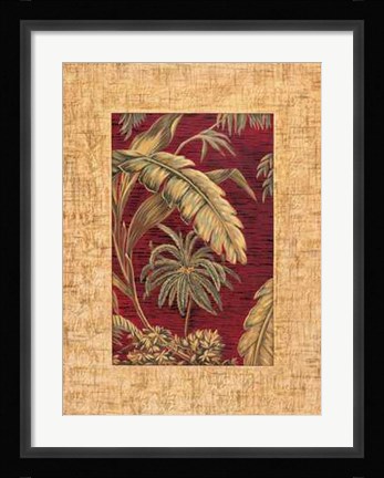 Framed Samuel Blanco - Tropical II Size 19.75x23.75 Print