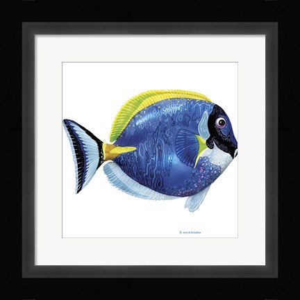 Framed Fish 4 Blue-Yellow Print