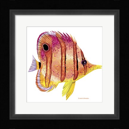 Framed New Fish 4 Print