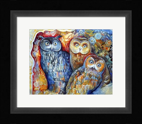 Framed Owls Print
