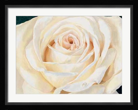 Framed Stefania Re - Eleganza Size 31.5x23.75 Print