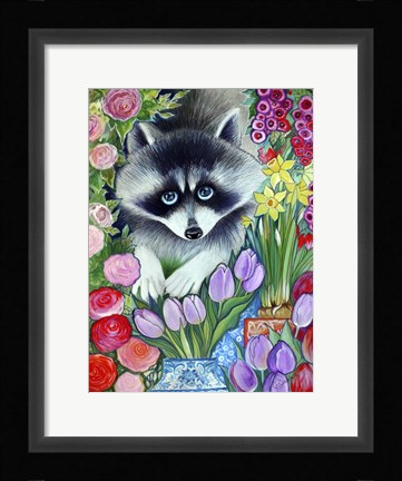 Framed Raccoon Print