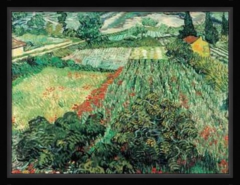 Framed Field of Poppies, St.Remy Print