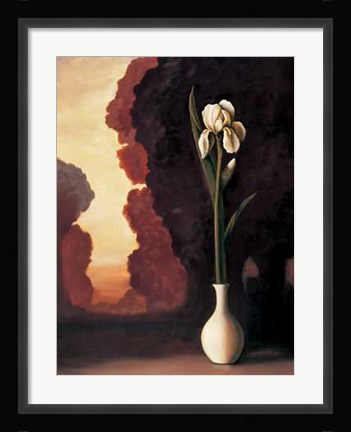 Framed Floral Sunrise II Print