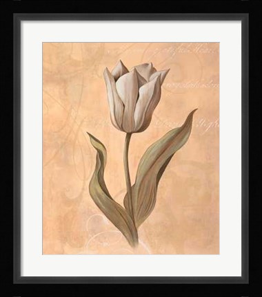 Framed Tulip Print