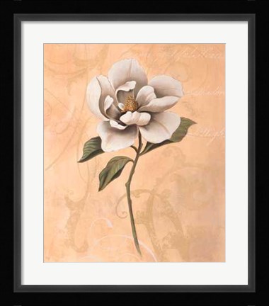 Framed Magnolia Print