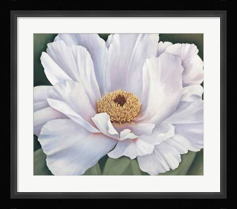 Framed Peony Print