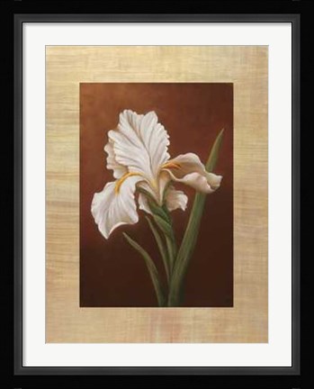 Framed Virginia Huntington - Fleur de Iris Size 23.75x31.5 Print
