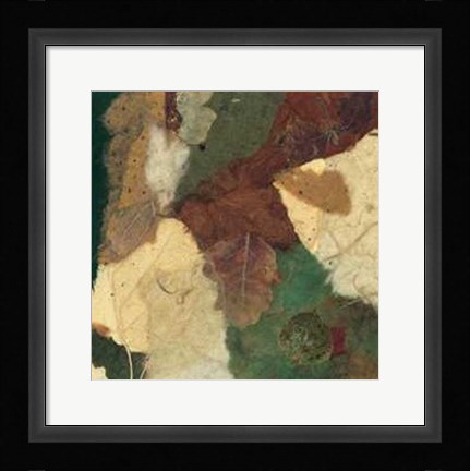 Framed Nature's Composition II Print